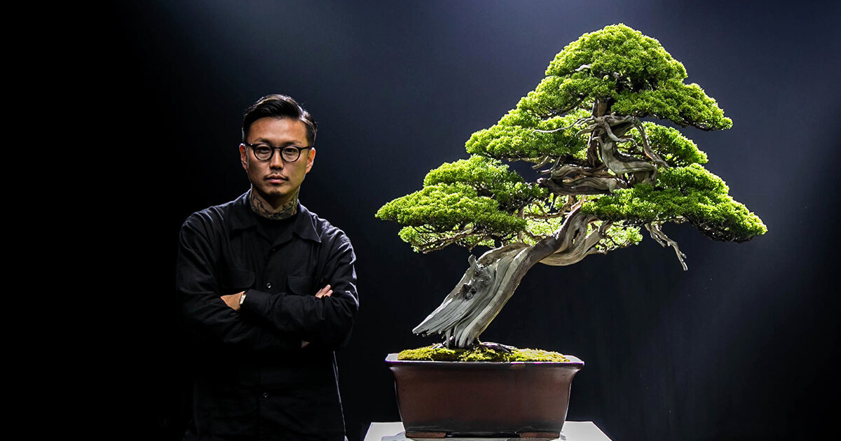 盆栽鉢 佐太郎